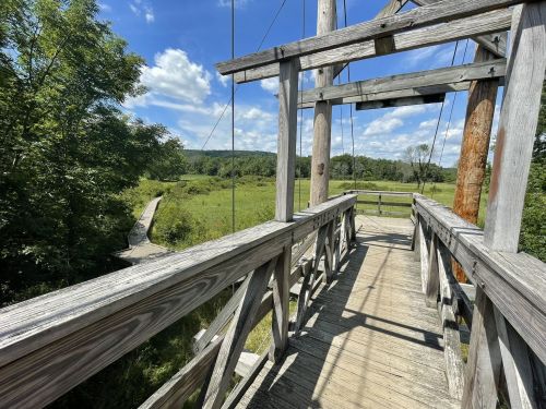 A wooden bridge leads into a lush green landscape under a bright blue sky with scattered clouds.