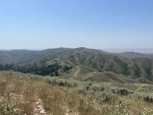 A panoramic view of rolling green hills under a clear blue sky, with a winding dirt path visible in the distance.