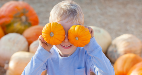 A kid holds up two tiny pumpkins in a pumpkin patch.