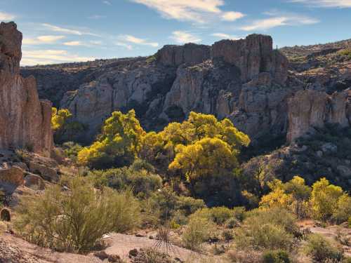 A scenic desert landscape featuring rocky cliffs and vibrant yellow trees amidst sparse vegetation under a blue sky.