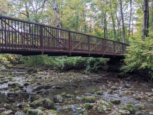 A metal bridge spans a rocky stream, surrounded by lush green trees in a serene forest setting.