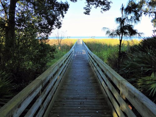 A wooden boardwalk leads through lush greenery to a serene beach view in the distance.