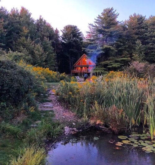A cozy cabin in the woods at dusk, surrounded by vibrant foliage and a serene pond. Smoke rises from the chimney.