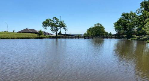 A calm pond surrounded by greenery and trees, with a wooden bridge in the background under a clear blue sky.