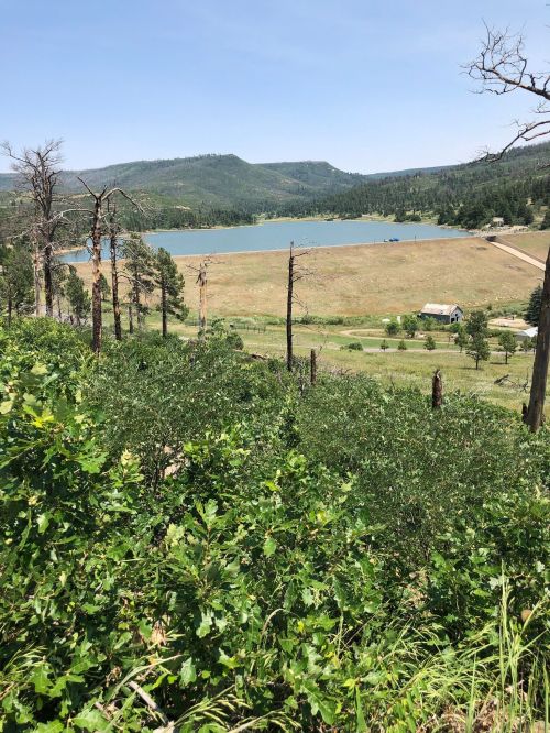 A scenic view of a lake surrounded by hills, with green vegetation in the foreground and a clear blue sky above.