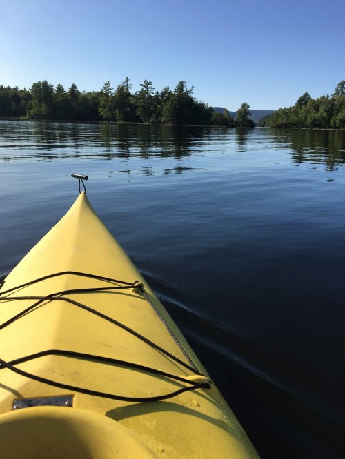 A yellow kayak glides over calm water, surrounded by trees and mountains under a clear blue sky.