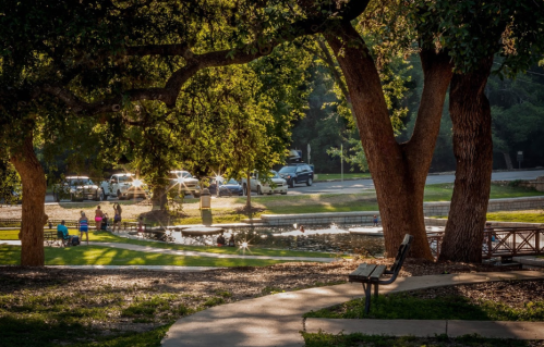 A serene park scene with trees, a pond, and people enjoying the outdoors in the warm sunlight.