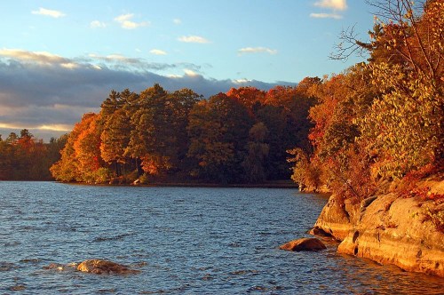 A serene lake scene with autumn foliage reflecting in the water under a golden sunset sky.
