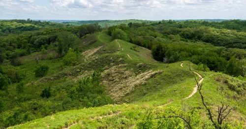A winding hiking trail traverses the sharp, grassy spine of a ridge in the Loess Hills of Iowa, overlooking dense green forests on either side.