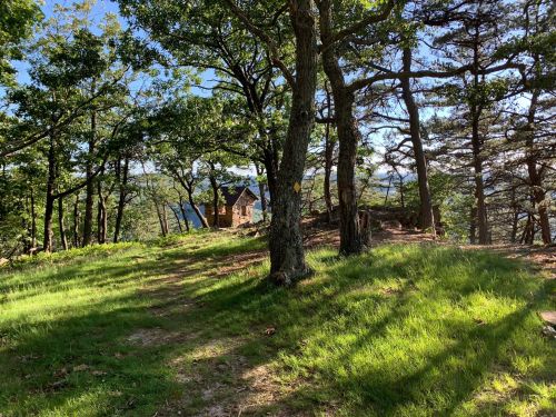A serene forest scene with a small cabin nestled among trees and lush green grass under a clear blue sky.