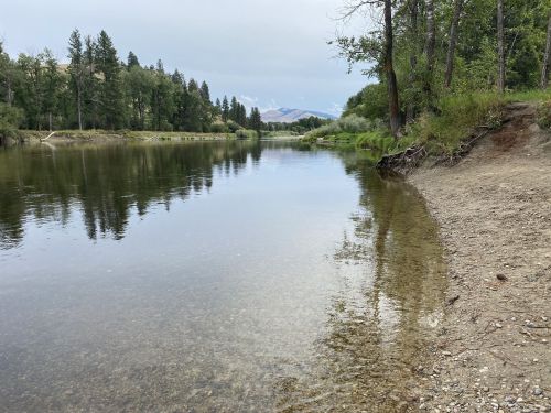 A calm river scene with trees lining the shore and mountains in the distance under a cloudy sky.