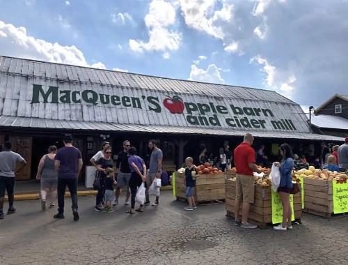 A busy apple barn and cider mill with people outside, featuring wooden crates of apples and pumpkins.