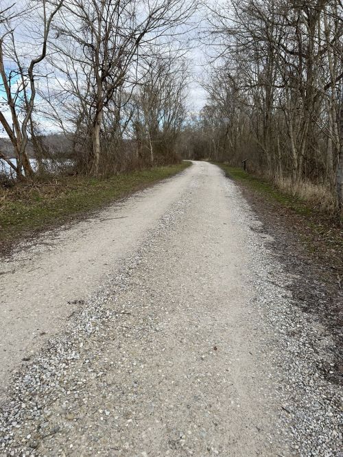A gravel path lined with trees, leading into a serene landscape under a cloudy sky.