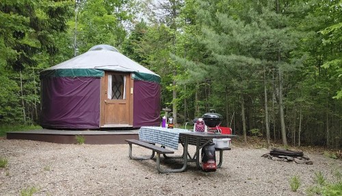 A purple yurt in a wooded area, with a picnic table, grill, and fire pit nearby.