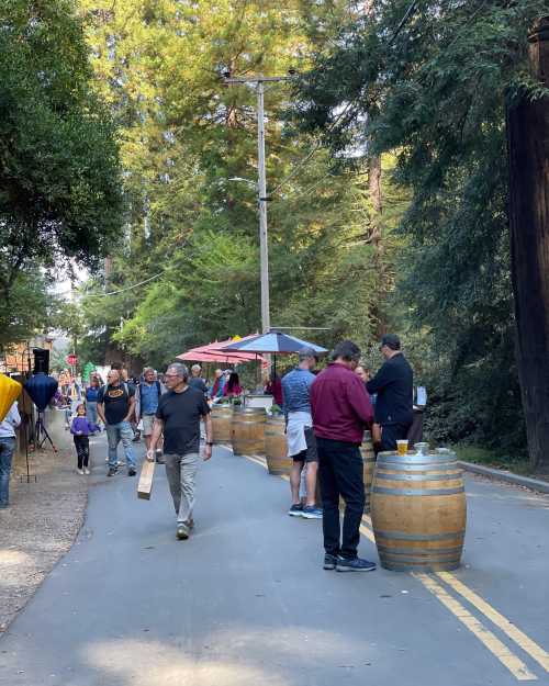 People enjoying an outdoor event among tall trees, with barrels and umbrellas lining the road.