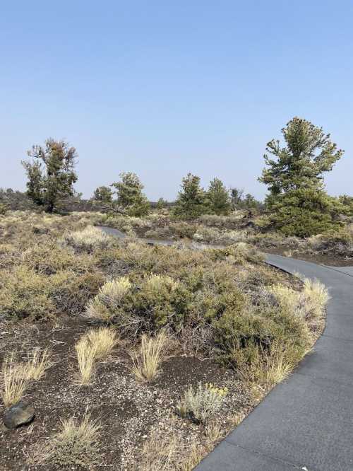 A winding path through a sparse landscape with shrubs and trees under a clear blue sky.