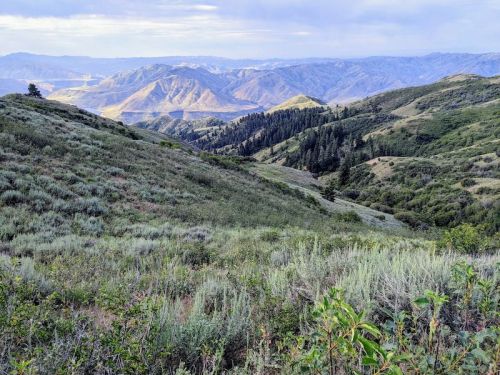 A scenic view of rolling green hills and mountains under a cloudy sky, showcasing a lush, natural landscape.