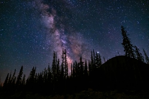 A starry night sky filled with the Milky Way, silhouetted by dark trees and a rocky landscape below.