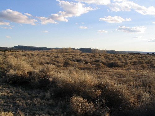 A vast, open landscape with dry grass and shrubs under a blue sky with scattered clouds and distant mountains.