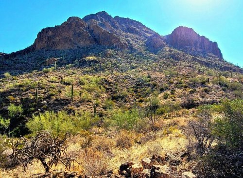 A rugged mountain landscape with cacti and desert vegetation under a bright blue sky.