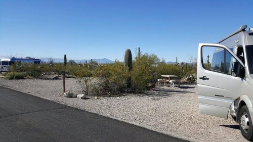 A scenic view of a desert campsite with cacti, gravel, and parked RVs under a clear blue sky.
