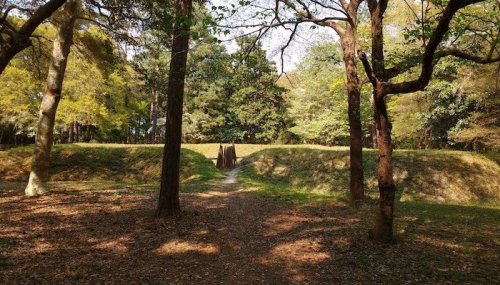 A serene landscape featuring a path through trees, leading to a grassy mound in a peaceful, wooded area.