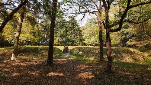 A serene park scene featuring a dirt path surrounded by trees and grassy mounds under a clear blue sky.