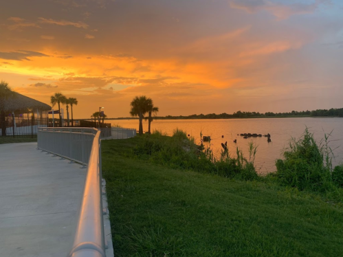A serene lakeside view at sunset, with palm trees and a pathway leading to the water's edge.