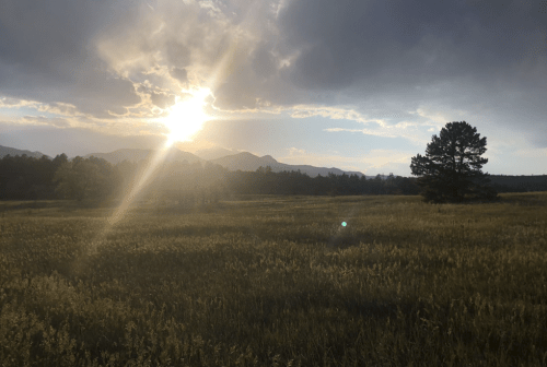 A sun sets behind mountains, casting light over a grassy field with a lone tree in the foreground.