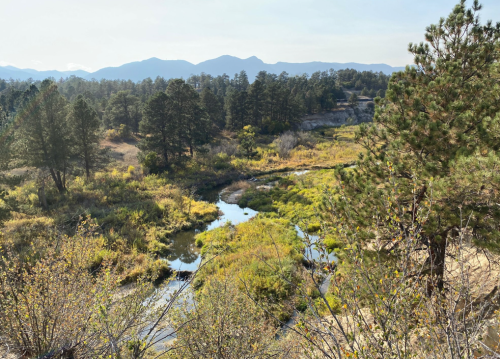 A serene landscape featuring a winding stream surrounded by lush greenery and distant mountains under a clear sky.