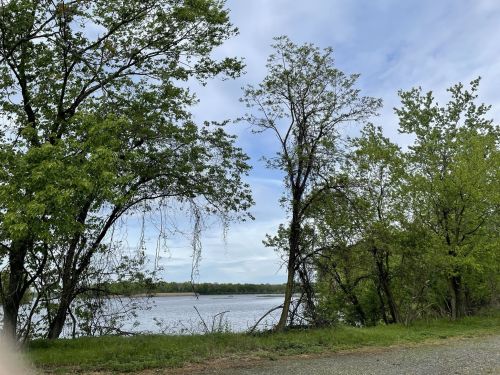 A serene view of a river bordered by lush green trees under a partly cloudy sky.