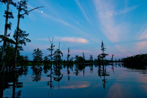 A serene twilight scene of a calm lake surrounded by silhouetted trees and a crescent moon in a blue sky.