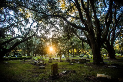 A serene cemetery at sunset, with moss-covered trees and scattered gravestones amidst lush green grass.