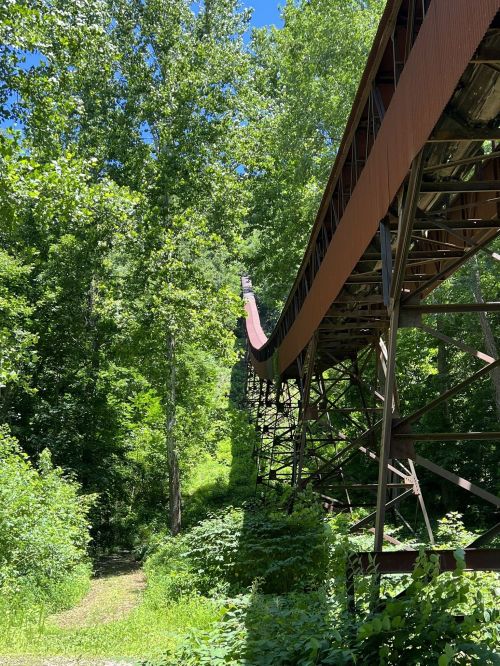 A rusted conveyor belt structure stretches through a lush green forest under a clear blue sky.