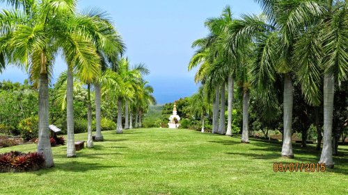 Lush green garden pathway lined with palm trees, leading to a statue against a backdrop of blue sky and ocean.
