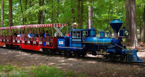 A blue miniature train with a red passenger car travels through a green forest, with people enjoying the ride.