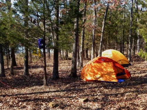 Two tents, one orange and one blue, set up in a wooded area with fallen leaves and trees in the background.
