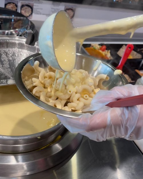 A hand in a glove pours cheese sauce over pasta in a bowl at a food station.
