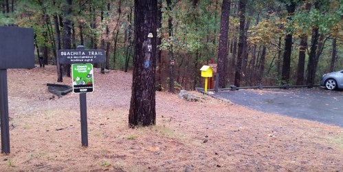 Sign for Ouachita Trail with a parking area and trees in the background, surrounded by fallen pine needles.