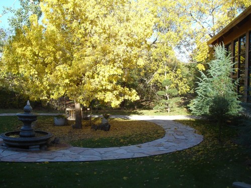 A serene garden scene featuring a large yellow tree, a stone path, and a fountain surrounded by autumn leaves.