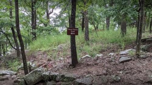 A sign pointing left to the Three Forks Trail, surrounded by trees and rocky terrain.