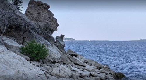 Rocky shoreline with a small green bush and calm water, distant land visible on the horizon.