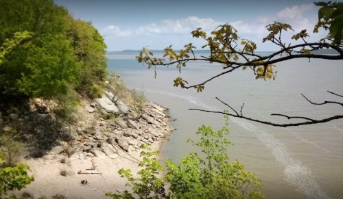A serene shoreline with rocky beach, gentle waves, and green trees under a clear blue sky.