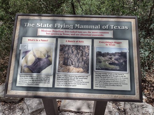 Sign about the State Flying Mammal of Texas, featuring information on Mexican free-tailed bats and their significance.