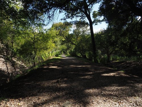 A shaded dirt path lined with trees, leading through a peaceful, green landscape. Sunlight filters through the leaves.
