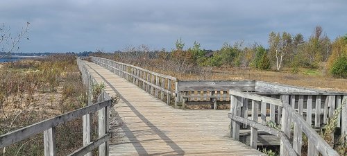 A wooden boardwalk stretches through a grassy landscape under a cloudy sky.