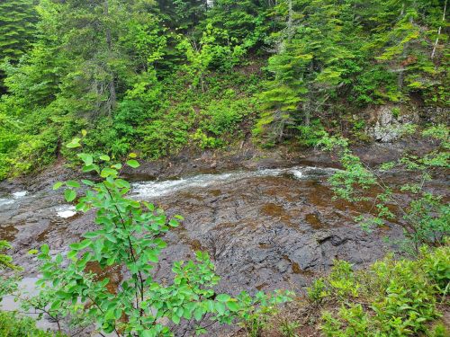 A serene river flows over rocky terrain, surrounded by lush green trees and foliage.