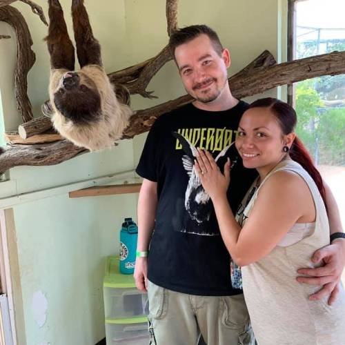 A man and a woman pose together in a zoo, with a sloth hanging above them on a branch.