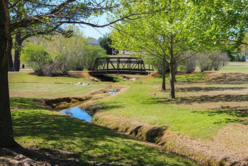 A serene park scene featuring a small bridge over a creek, surrounded by lush green trees and grass.