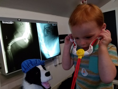 A toddler wearing a stethoscope examines a stuffed dog in front of X-ray images on a wall.